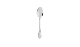 Stainless Spoon