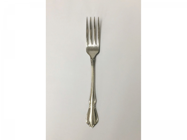 stainless fork