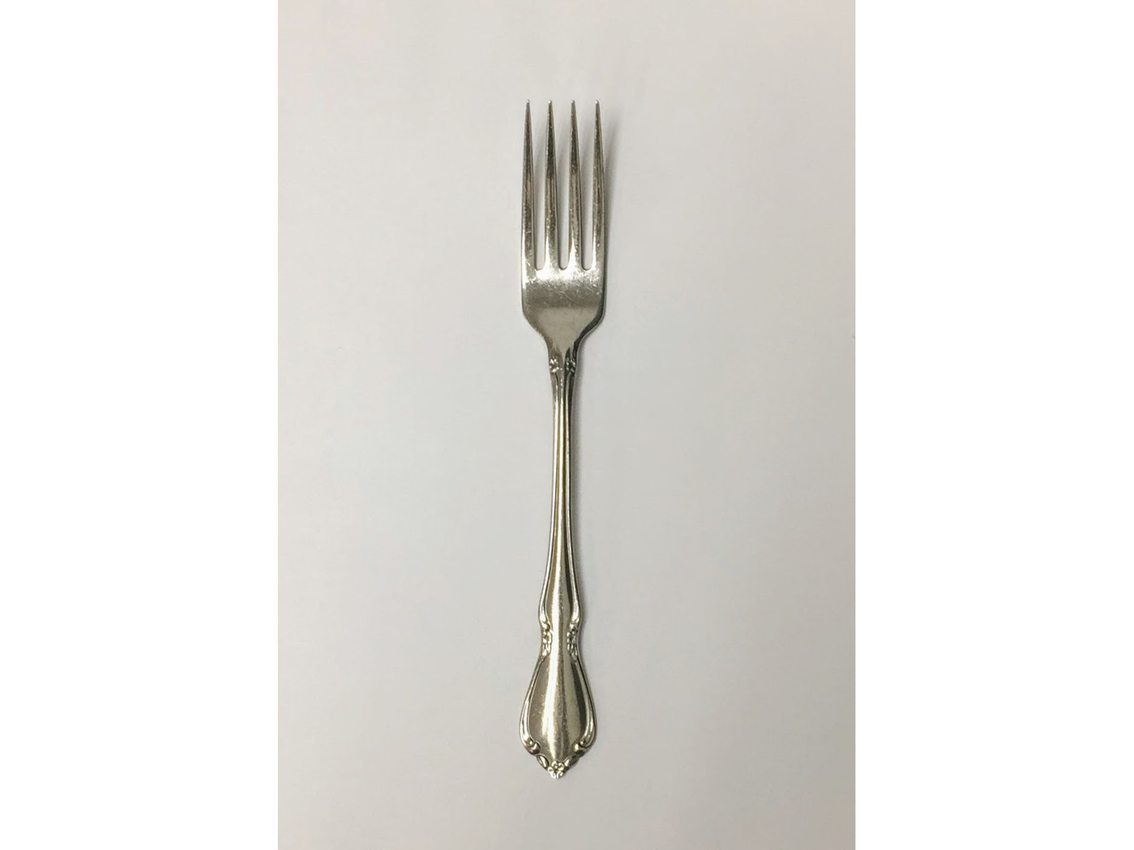 stainless fork