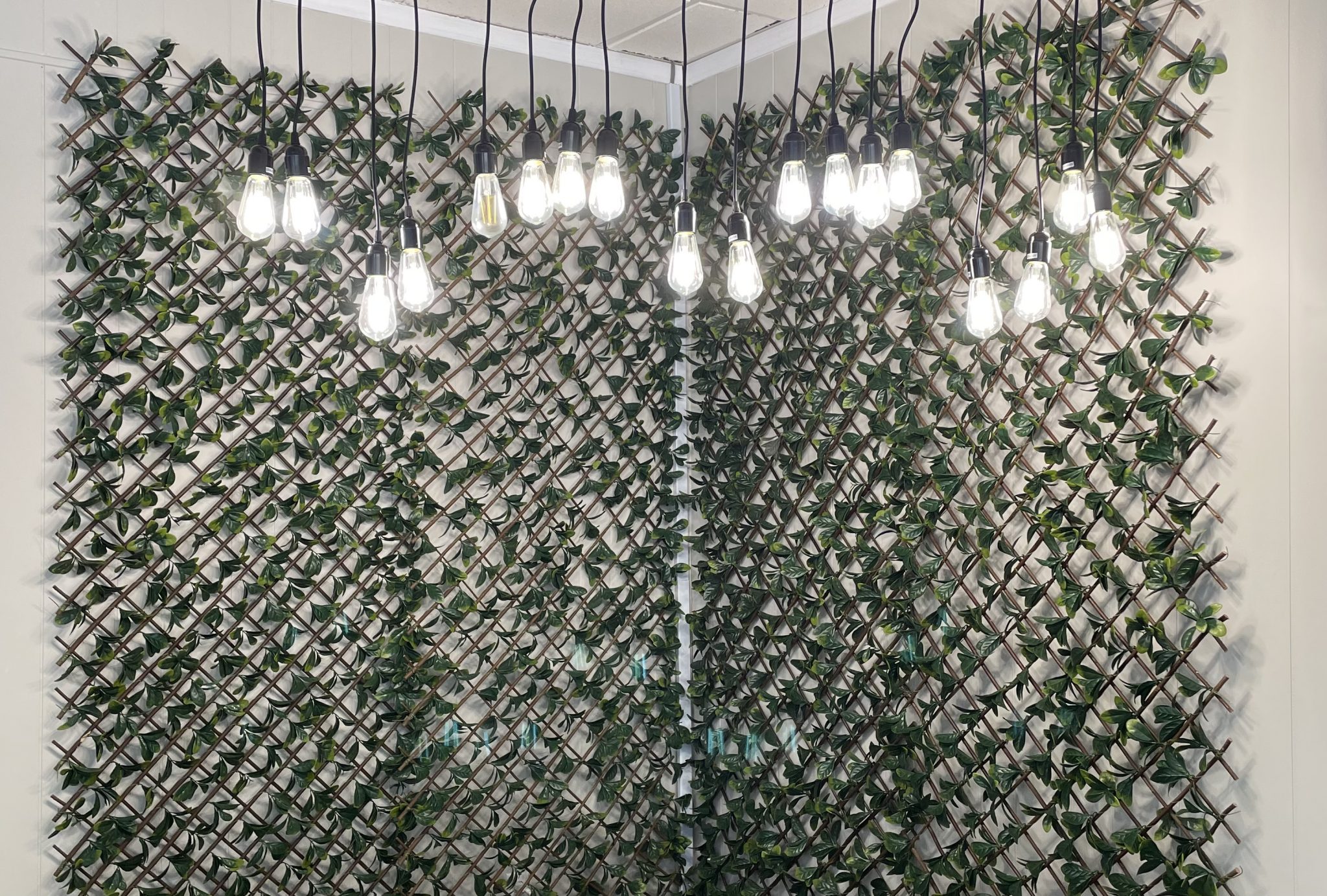 Lattice Greenery Barrons Barrons