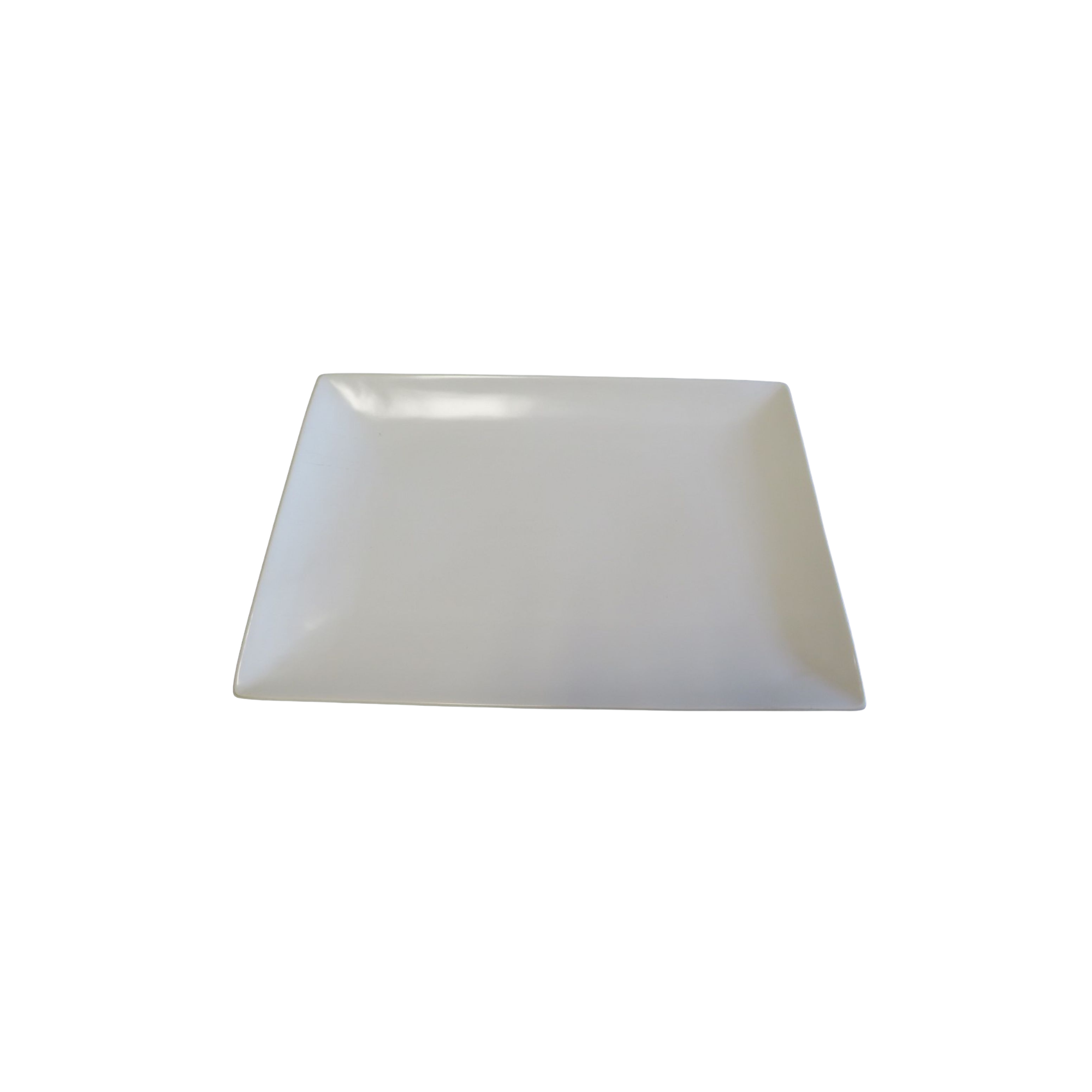white oblong serving platter web photo