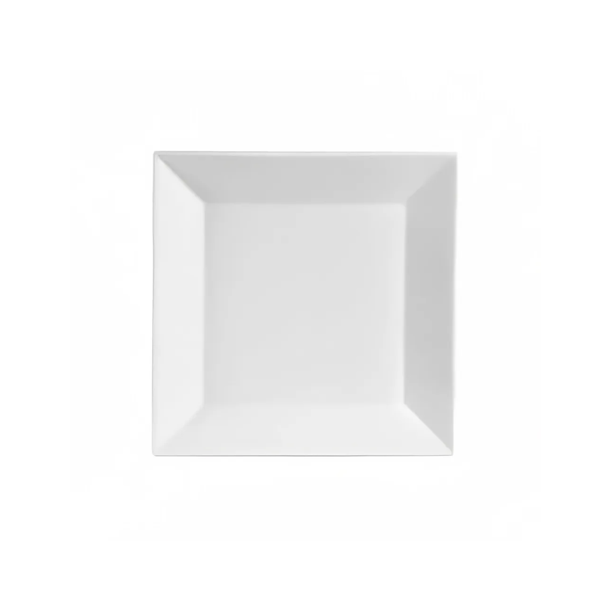 white square dinner plate web photo