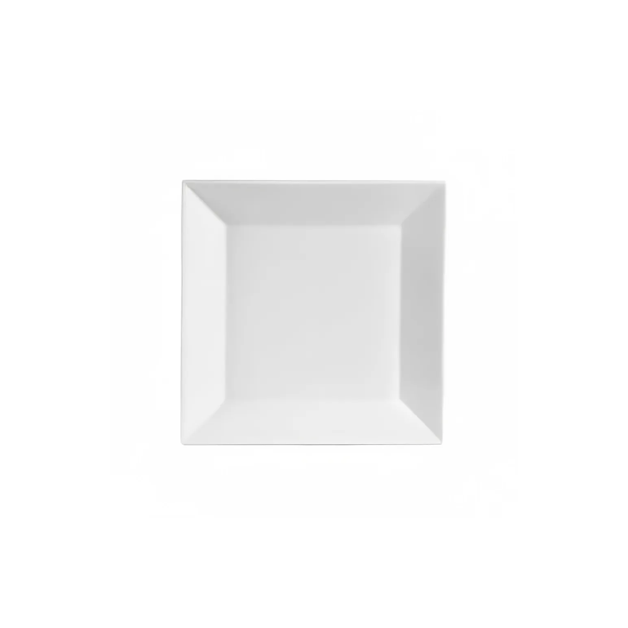 white square salad plate web photo